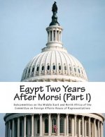 Egypt Two Years After Morsi (Part I)