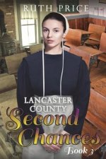 Lancaster County Second Chances Book 3