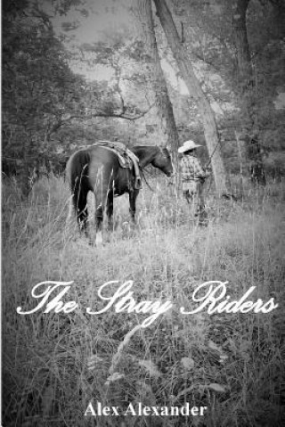 The Stray Riders