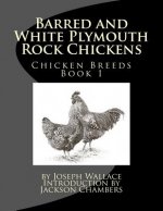 Barred and White Plymouth Rock Chickens