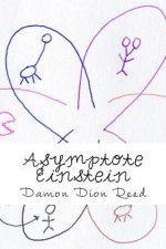Asymptote Einstein: Elements & Environments