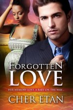 Forgotten Love: A BWWM Pregnancy Billionaire Love Story