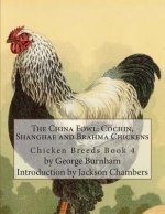 The China Fowl: Cochin, Shanghae and Brahma Chickens: Chicken Breeds Book 4