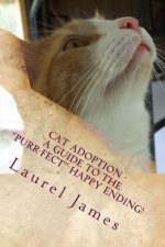 Cat Adoption - Your Guide to the 