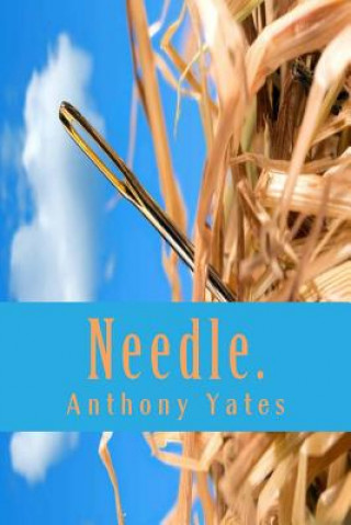 Needle.