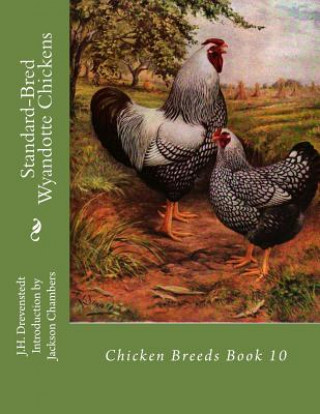 Standard-Bred Wyandotte Chickens: Chicken Breeds Book 10