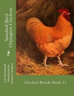 Standard-Bred Orpington Chickens: Chicken Breeds Book 11
