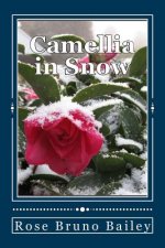 Camellia in Snow