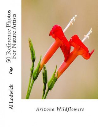 Arizona Wildflowers: 50 Reference Photos For Nature Artists
