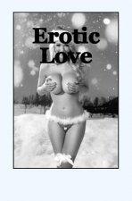 Erotic Love: A Sexual Game