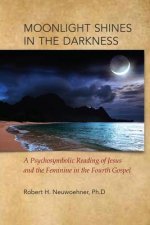 Moonlight Shines in the Darkness