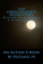 The Consciousness Revolution: Beyond Meditation & Mindfulness