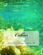 Cahier - Grand Format - 100 pages - Collection Mer: Design Original 9