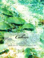 Cahier - Grand Format - 100 pages - Collection Mer: Design Original 10