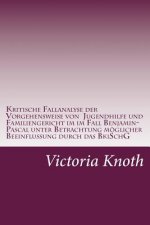 Kritische Fallanalyse der Vorgehensweise von Jugendhilfe und Familiengericht im Fall Benjamin-Pascal unter Betrachtnahme mögicher Beeinflussung durch