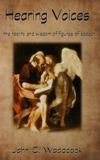Hearing Voices: The Reality and Wisdom of Figures of Speech