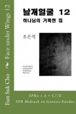 Face Under Wings 12