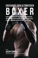 Erschaffe den ultimativen Boxer: Lerne die Geheimnisse und Tricks kennen, die von den besten Profi-Boxern und ihren Trainern angewandt werden um deine