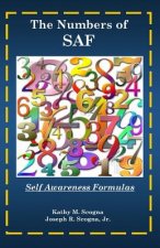 The Numbers of SAF: Self Awareness Formulas