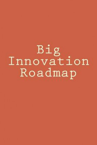 Big Innovation Roadmap: Big Picture and Big Change