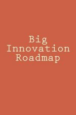 Big Innovation Roadmap: Big Picture and Big Change
