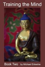 Training the Mind: Book II: Allowing the Mind to Rest Naturally