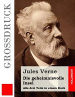 Die geheimnisvolle Insel (Großdruck): Alle drei Teile in einem Buch