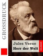 Herr der Welt (Großdruck)