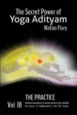 The Secret Power Of Yoga Adityam Vol 3 The Practice: Mudras and Pranayam