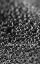 Black Apple Phoetry: Poetry and Photographs inspired by a black glass apple.