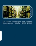 Le Cadre Technique Des Normes Comptables Ohada-Ifrs-Ipsas: La Coherence Des Ecritures Comptables