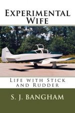 Experimental Wife: Life with Stick and Rudder