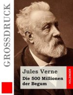 Die 500 Millionen der Begum (Großdruck)