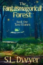 The Fantasmagorical Forest: Book 1 Two Stones