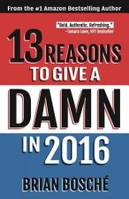 13 Reasons To Give A Damn In 2016: Moving America From Divided To United