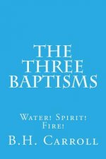 The Three Baptisms. Water! Spirit! Fire!