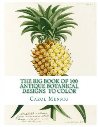 The Big Book of 100 Botanical Designs to Color