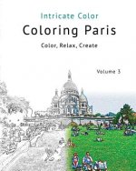 Coloring Paris: Volume 3 - Intricate Color: Color, Relax, Create