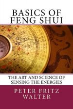 Basics of Feng Shui: The Art and Science of Sensing the Energies