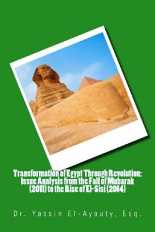 Transformation of Egypt Through Revolution: Issue Analysis from the Fall of Mubarak (2011) to the Rise of El-Sisi (2014)