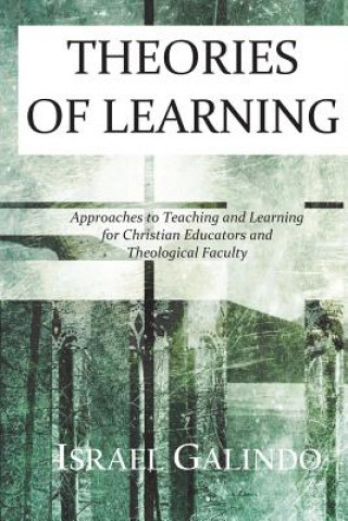Theories of Learning: Approaches to Teaching and Learning for Christian Educators and Theological Faculty