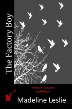 The Factory Boy