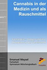 Cannabis in der Medizin und als Rauschmittel: Facharbeit - Drogen und ihre Akzeptanz in der Gesellschaft