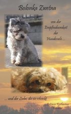 Bolonka Zwetna: von der Empfindsamkeit der Hundeseele und der Liebe, die sie schenkt