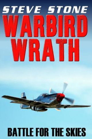 Warbird Wrath: Battle for the Skies