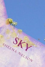 Sky: madness and mayhem of the mind in poignant poetry
