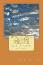 Praying through the Psalms Book Three: Psalm 28- 43: From the Series; Praying through the Psalms.