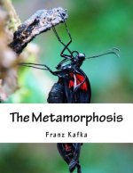 The Metamorphosis