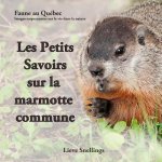 Les Petits Savoirs sur la marmotte commune