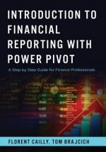 Introduction to Financial Reporting with PowerPivot: A Step by Step Guide for Finance Professionals